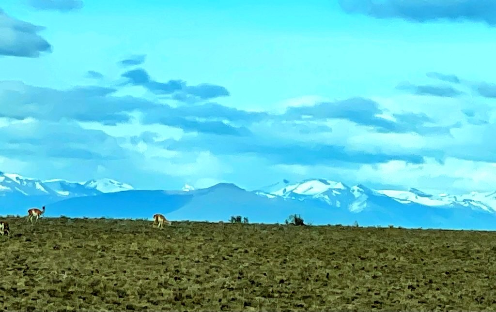 Argentina 2022 — photo 365