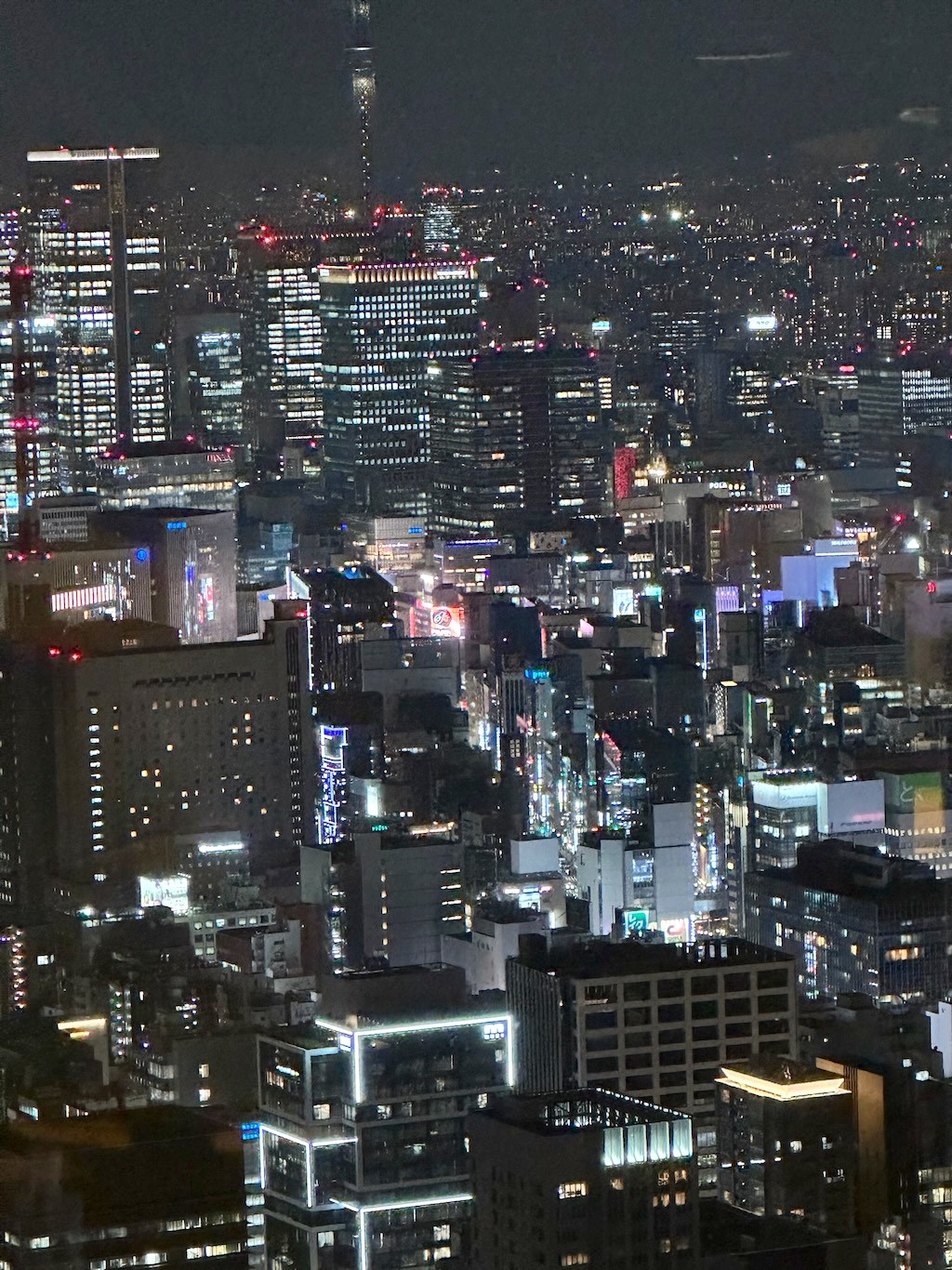 Japan 2023 — photo 87