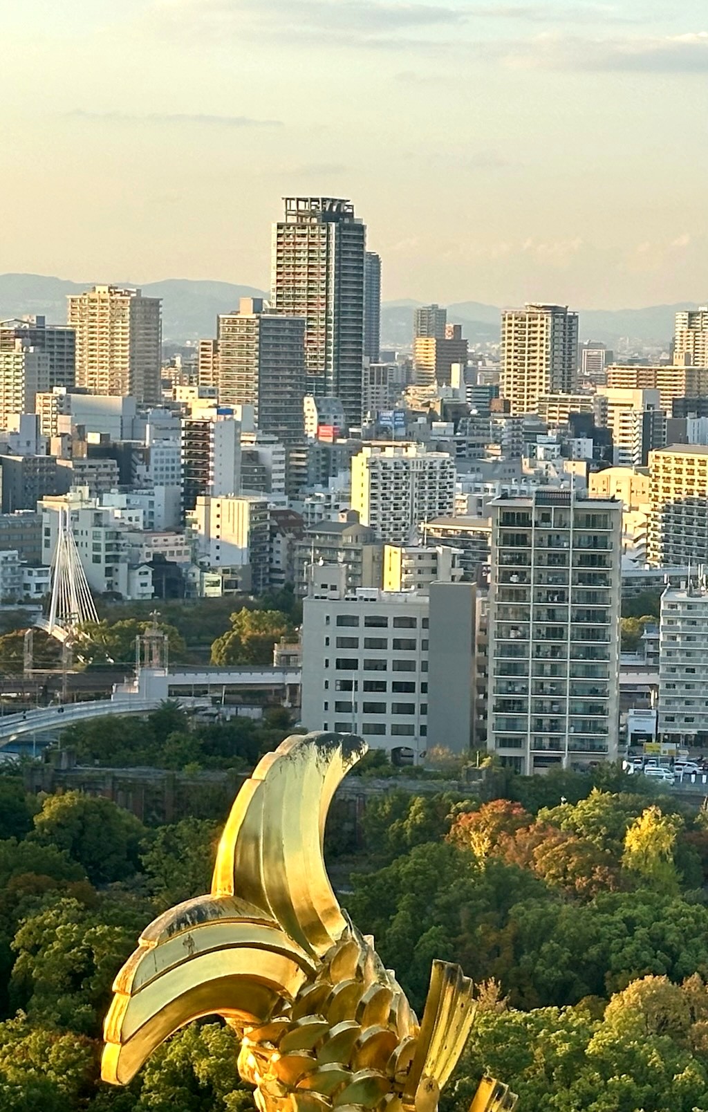 Japan 2023 — photo 282
