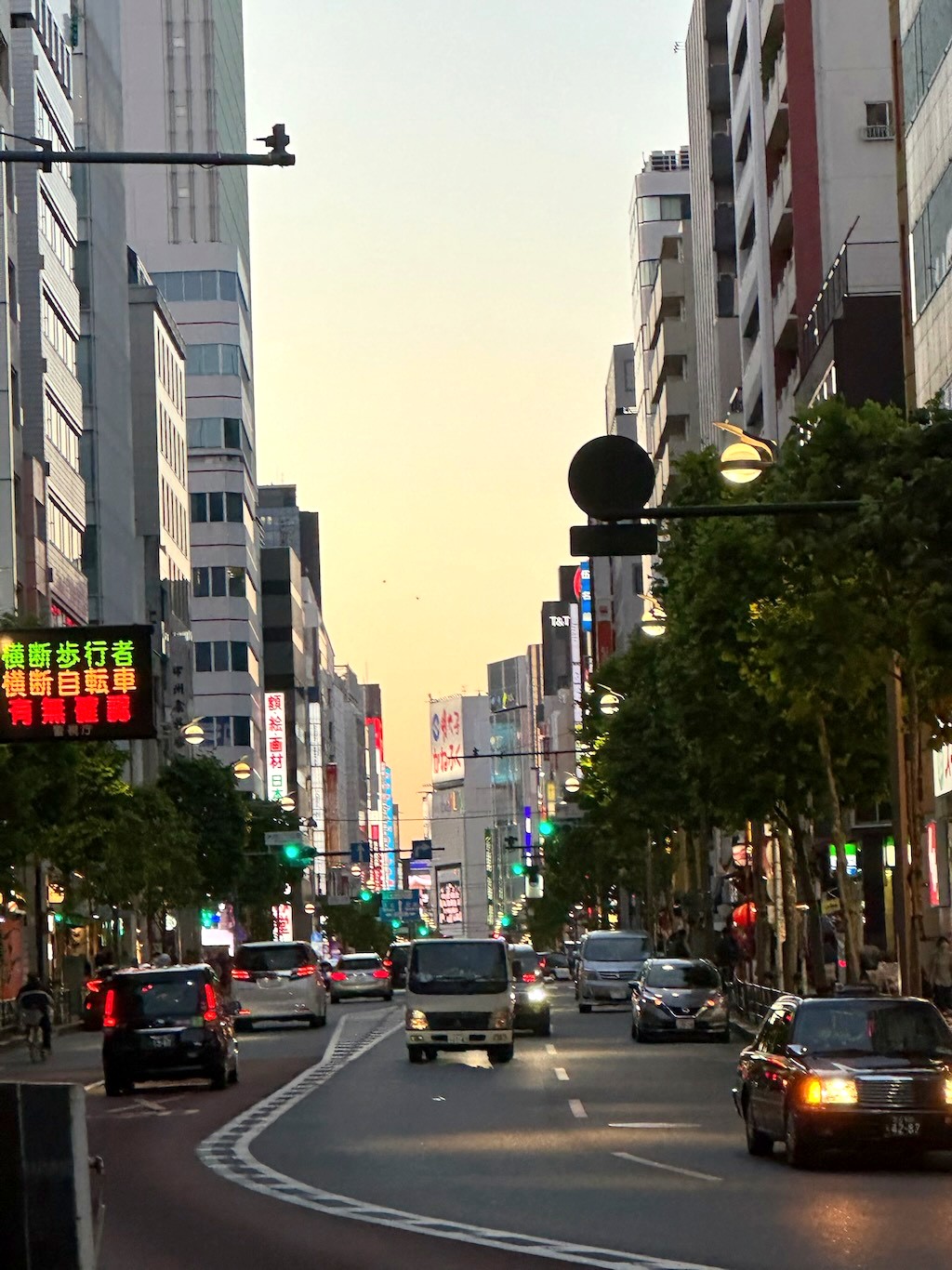 Japan 2023 — photo 199