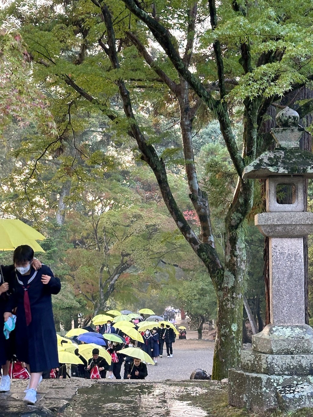 Japan 2023 — photo 328