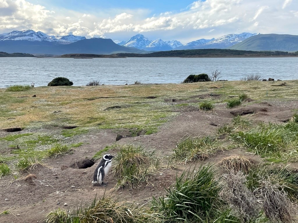 Argentina 2022 — photo 324