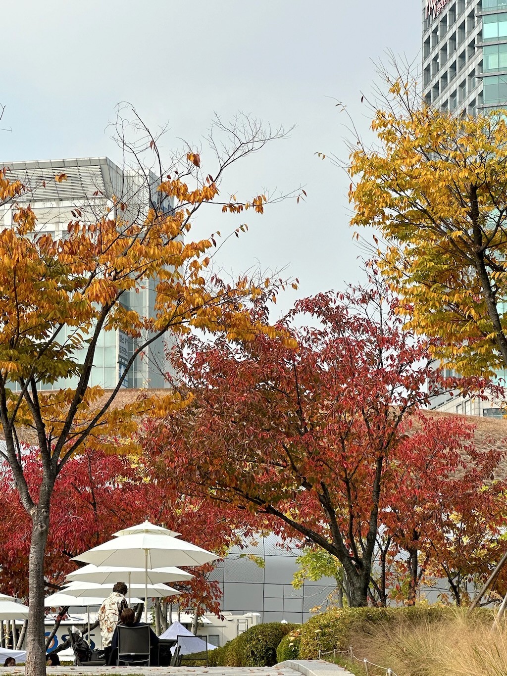 Japan 2023 — photo 423