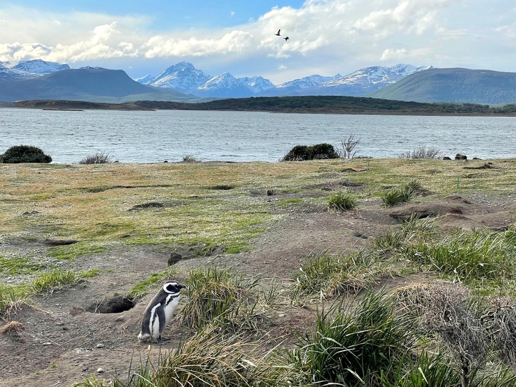 Argentina 2022 — photo 323