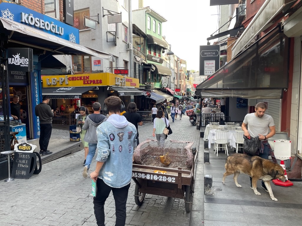 Türkiye 2021 — photo 16