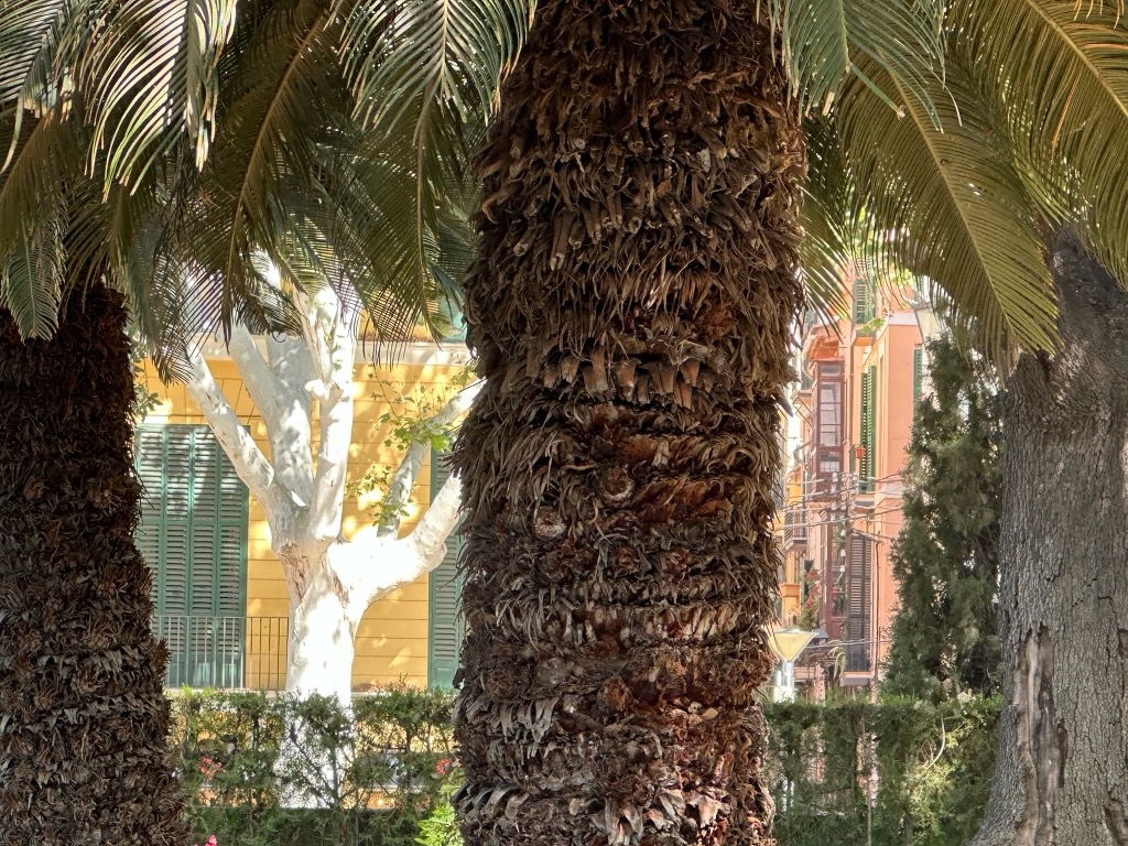 Mediterranean 2024 — photo 223