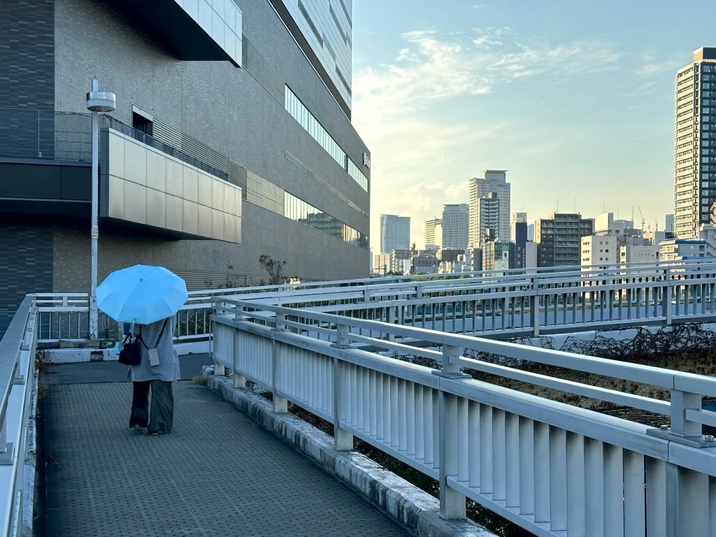 Japan 2023 — photo 278