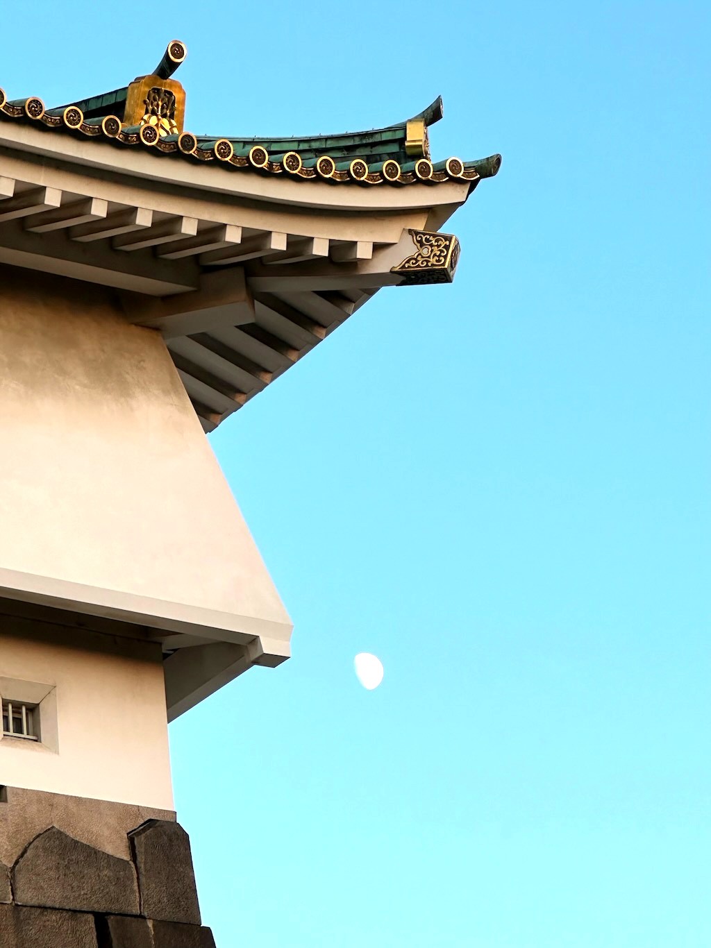 Japan 2023 — photo 283