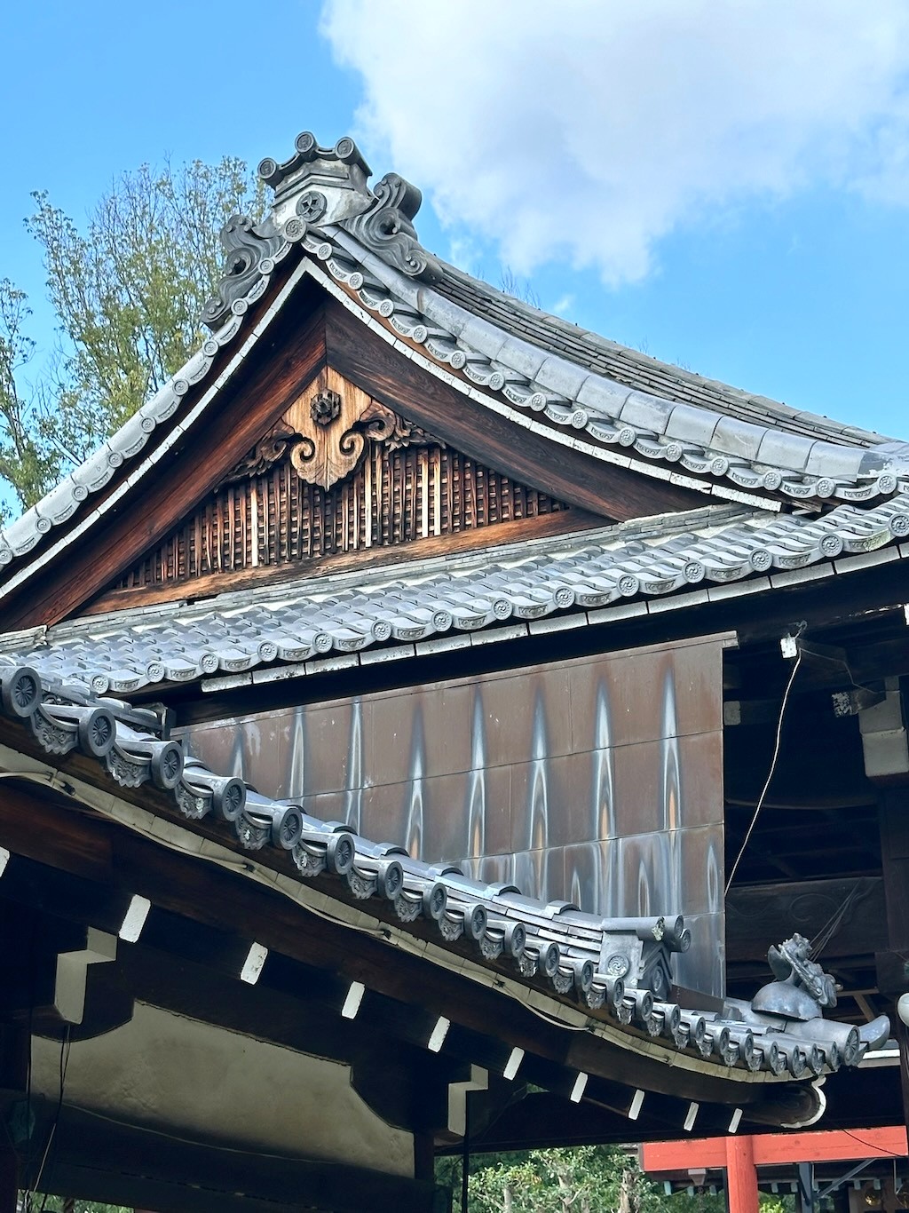 Japan 2023 — photo 298
