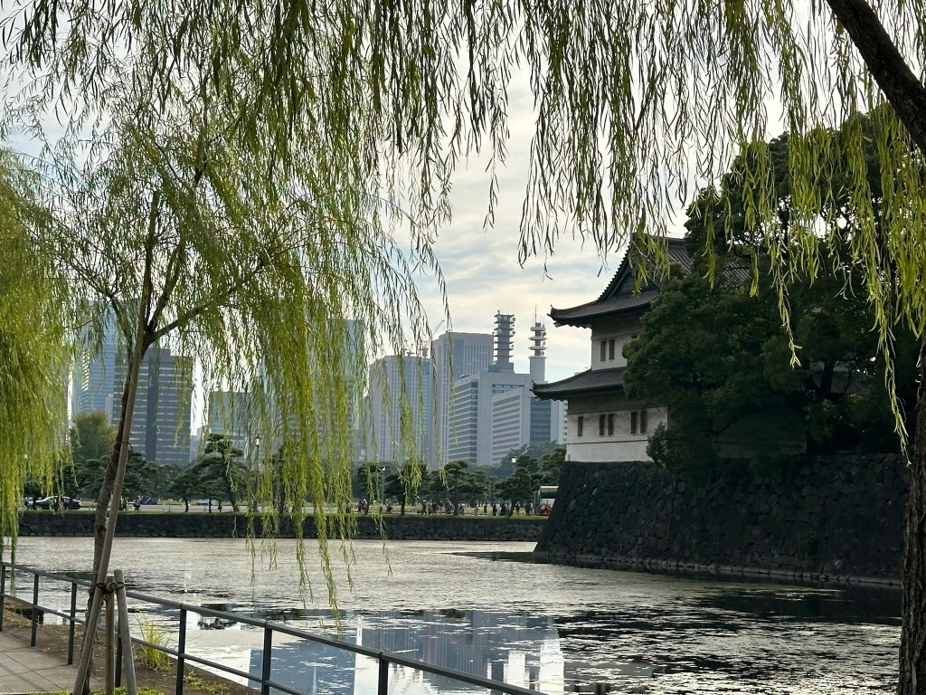 Japan 2023 — photo 51