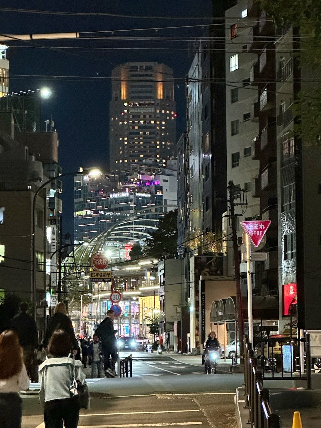 Japan 2023 — photo 208
