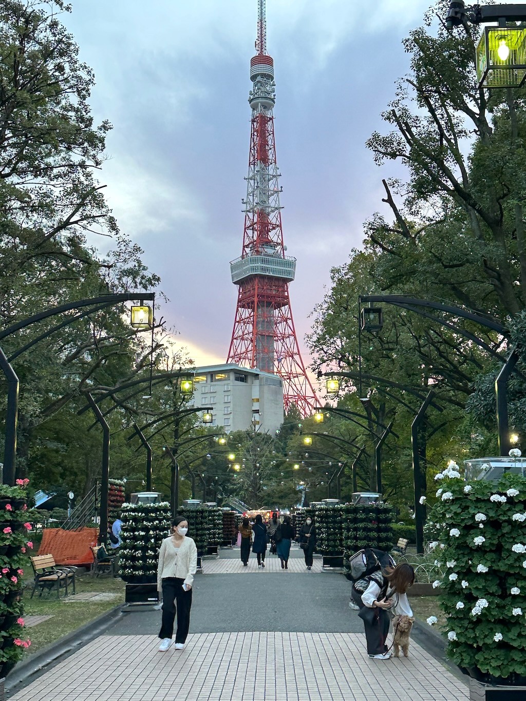 Japan 2023 — photo 70