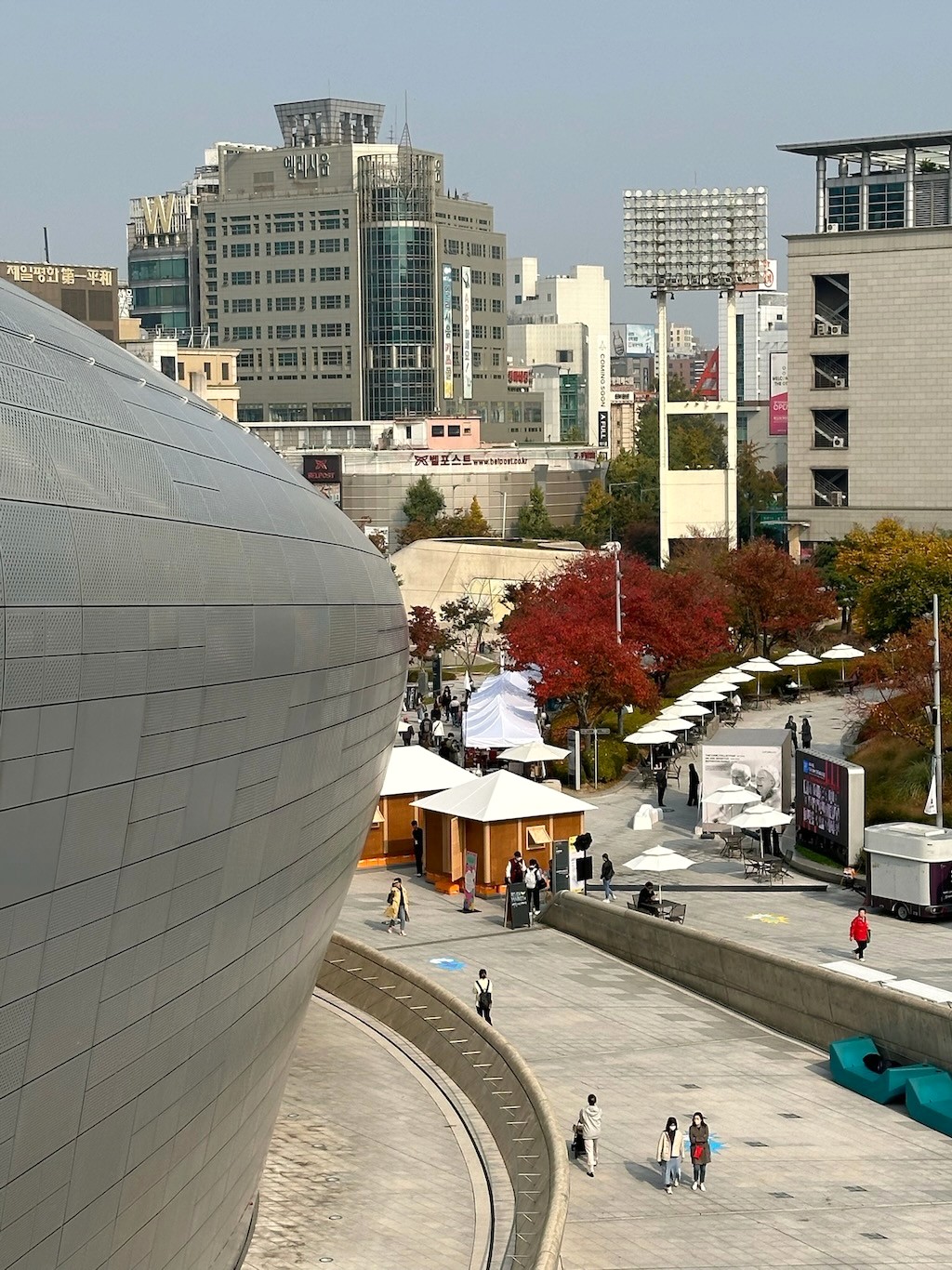 Japan 2023 — photo 439