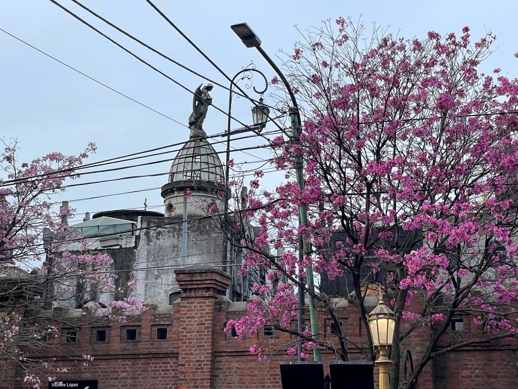 Argentina 2022 — photo 158