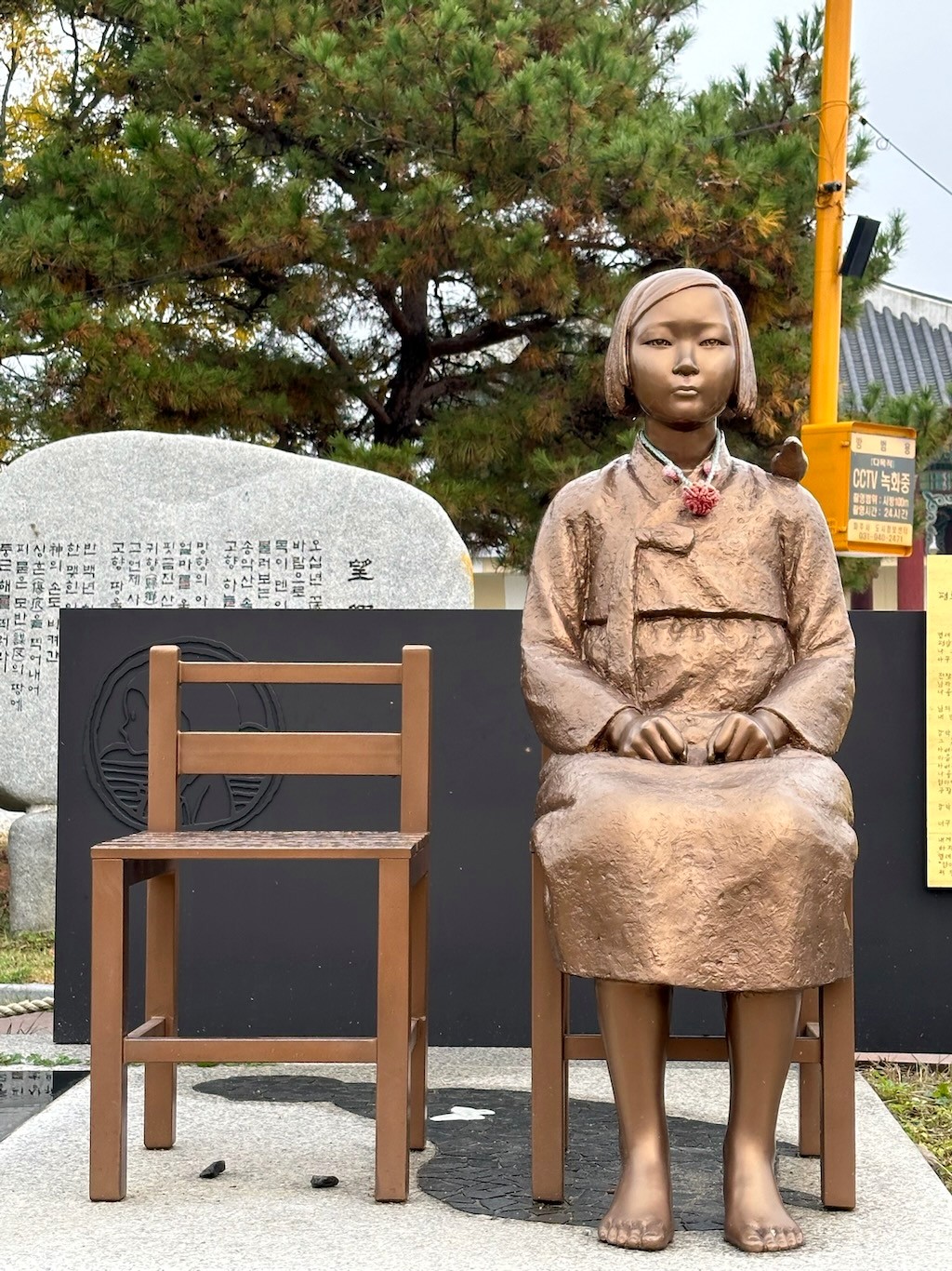 Japan 2023 — photo 444