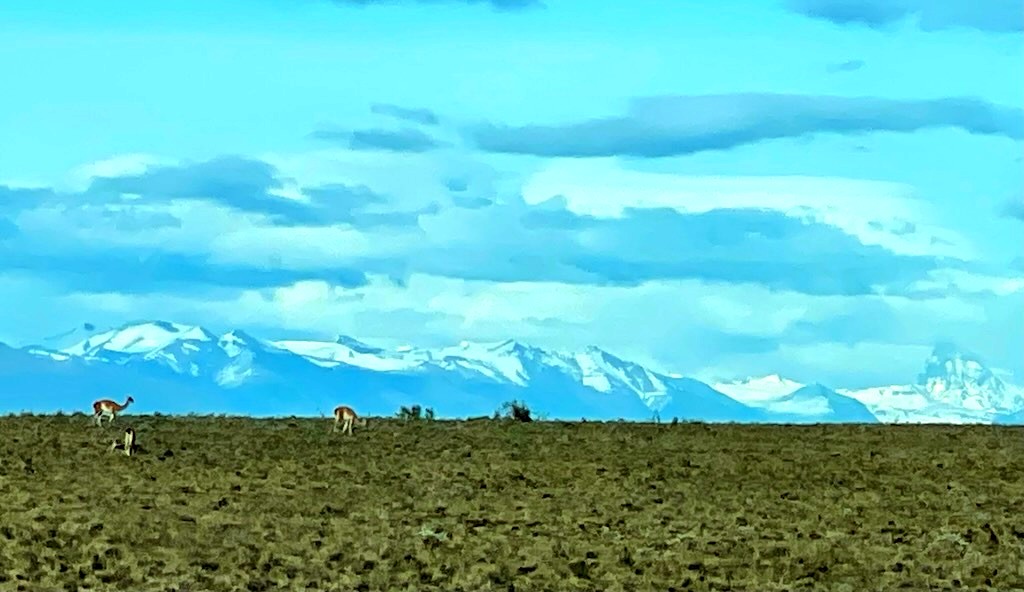 Argentina 2022 — photo 364