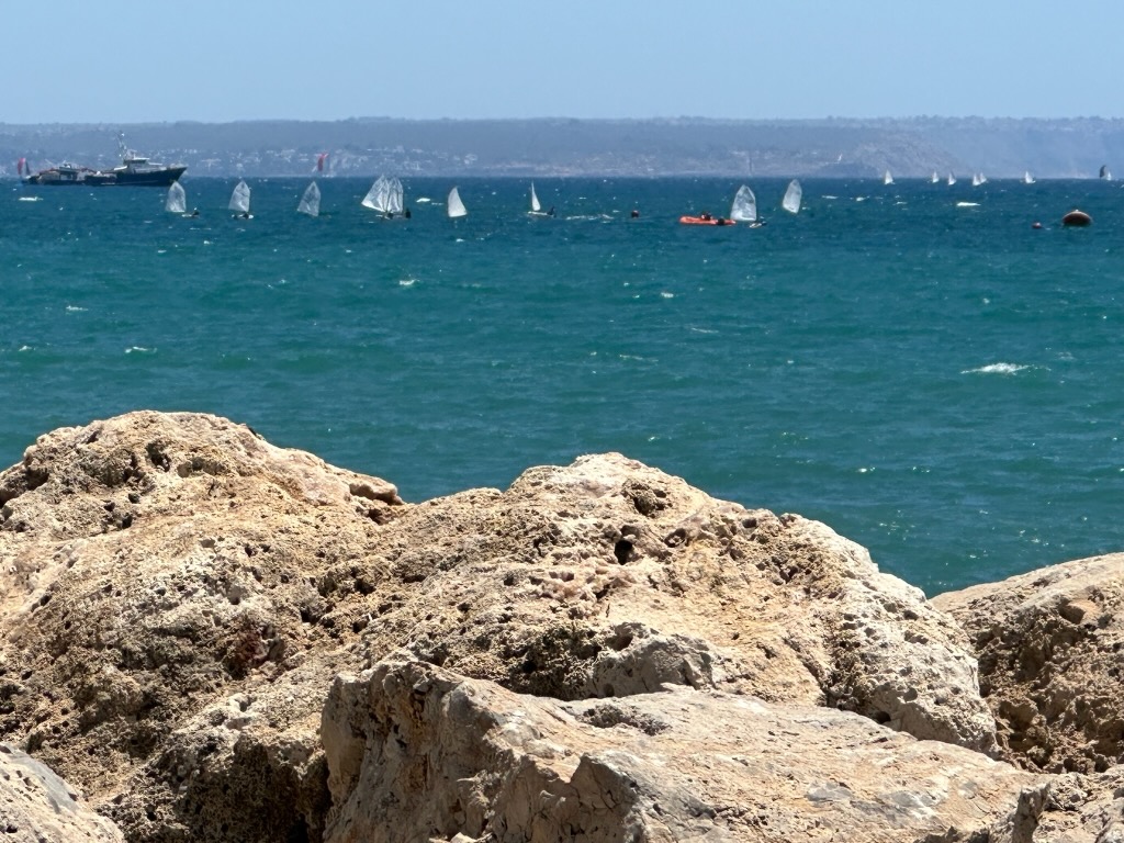 Mediterranean 2024 — photo 231