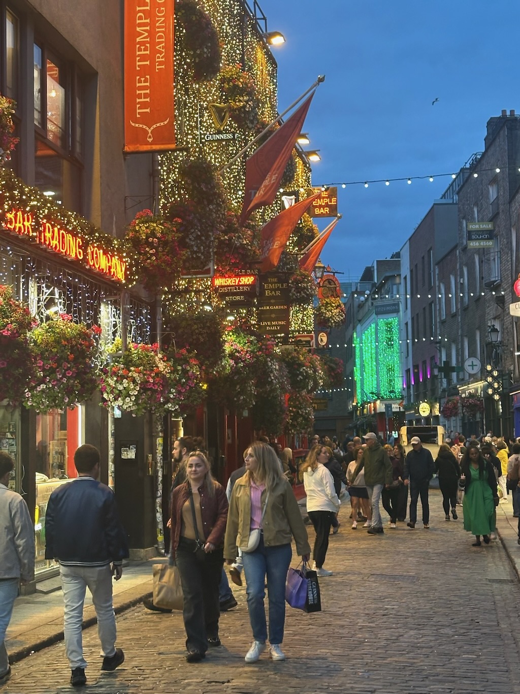 England + Ireland 2026 — photo 47